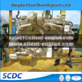 brand new cummins marine genset ,cummins 250kw marine genset ,Cummins NTA855-D(M) marine genset